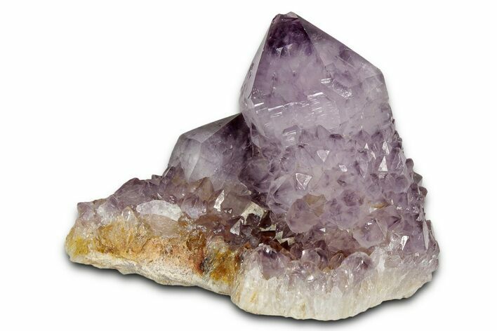 Deep-Purple Cactus Amethyst Crystal Cluster - South Africa #337602